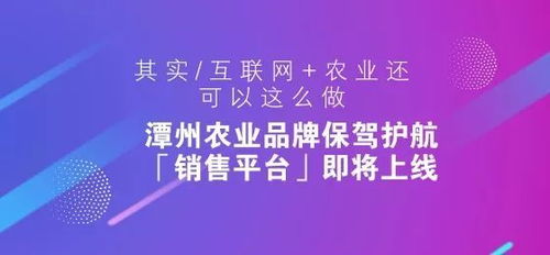 互联网农业 近10万亿市场下的农产品销售新玩法