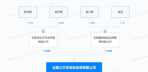 疯狂小杨哥旗下三只羊创业投资公司增资，深耕食品互联网销售领域